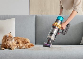 Temporada de muda: Cómo mantener tu casa libre de pelo sin morir en el intento