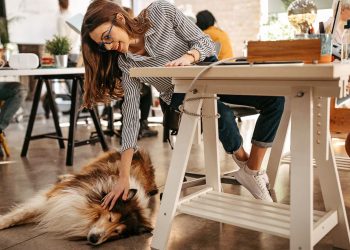 ¿Piensas llevar a tu mascota al trabajo? Estas son las enfermedades que puede contraer si no está desparasitado