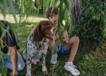 Vacaciones felices libres de pulgas, garrapatas y otros parásitos en tus gatos y perros