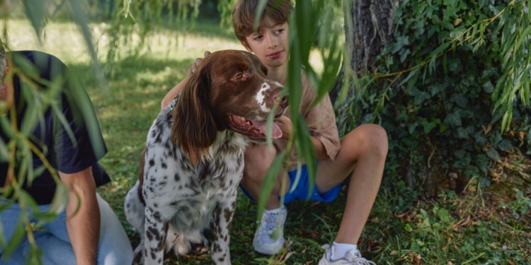 Vacaciones felices libres de pulgas, garrapatas y otros parásitos en tus gatos y perros