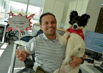 Pets at Work: Beneficios de espacios Pet Friendly