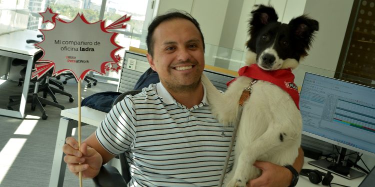 Pets at Work: Beneficios de espacios Pet Friendly