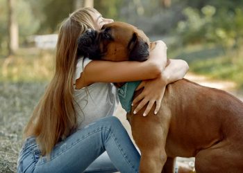 Día Mundial del Perro: El costo real de ser un dueño responsable