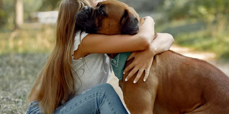 Día Mundial del Perro: El costo real de ser un dueño responsable