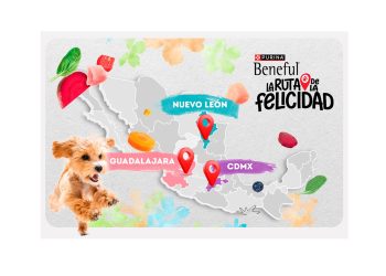 Ideas para celebrar el Día del Perro con tu mejor amigo