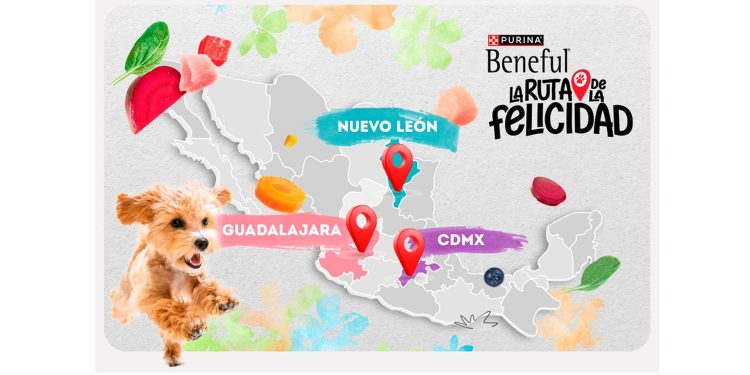 Ideas para celebrar el Día del Perro con tu mejor amigo