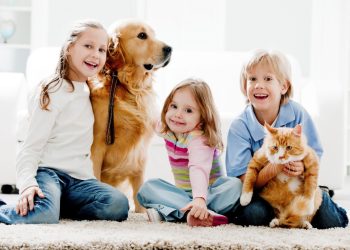 Cuando hay niños, mascotas y manchas… hay solución