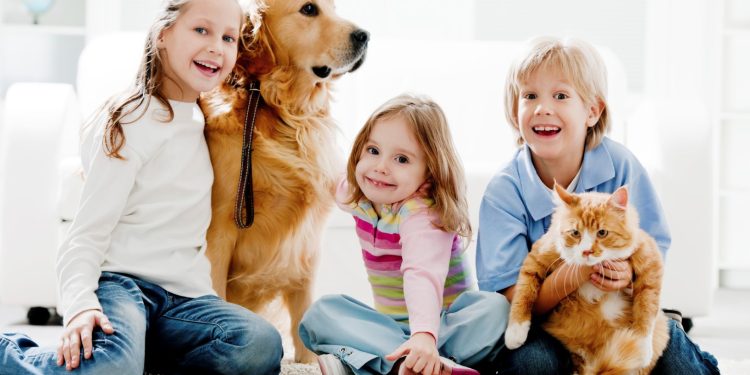 Cuando hay niños, mascotas y manchas… hay solución