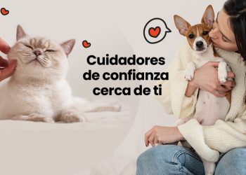 Vacaciones peludas: 8 beneficios de una guardería u hospedaje para tu mascota