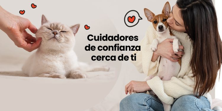 Vacaciones peludas: 8 beneficios de una guardería u hospedaje para tu mascota