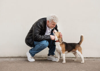 Día del Abuelo: Más de 100 trillones de microorganismos podrían estar cuidando la salud de tu mascota senior