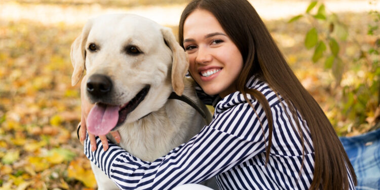 Más del 27% de los perros en México ya son ancianos. Conoce las señales del envejecimiento de tu mascota