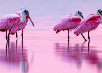 Saca el fotógrafo que llevas dentro: Dónde contemplar los mejores atardeceres de Yucatán