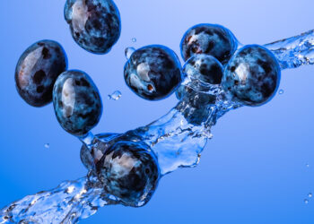 Una noche de cocina, nutrición y sabor con Blueberries en la Ciudad de México