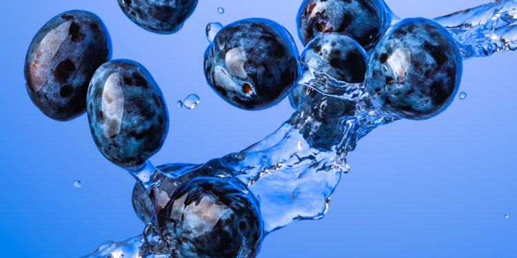 Una noche de cocina, nutrición y sabor con Blueberries en la Ciudad de México