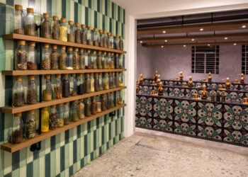 PURIFICACIÓN, el nuevo Hot Spot de la Roma | Una experiencia sensorial única e inolvidable