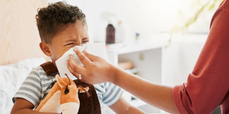 Limpieza profunda, clave para reducir los síntomas de alergias respiratorias