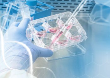 Medicina regenerativa: El nuevo paradigma en cirugía plástica