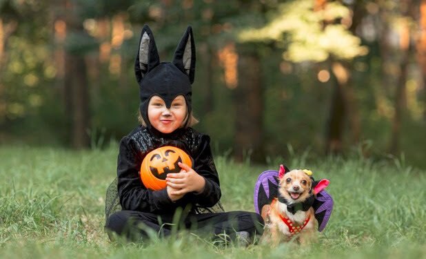 Halloween y Día de Muertos: Celebra con tu perro y crea recuerdos inolvidables