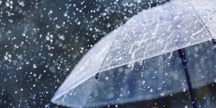 Después de la tormenta: Por qué el riesgo de infestación alcanza su punto máximo al finalizar la temporada de lluvias