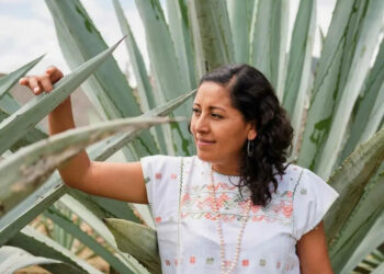 Sistema MIM: Manejo del territorio y la alimentación a partir del maguey y el maíz