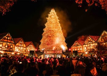 Cinco planes para vivir la Navidad en Guadalajara