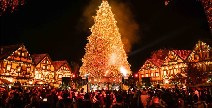 Cinco planes para vivir la Navidad en Guadalajara