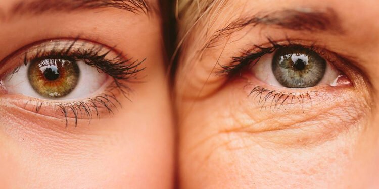 Doce propósitos disruptivos para construir tu salud en 2026, basados en Medicina de Longevidad