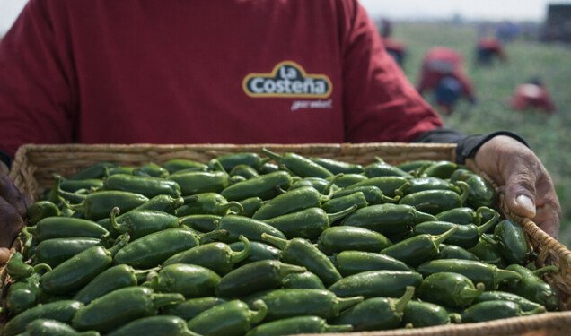 Descubre con La Costeña® por qué México no se entiende sin picante