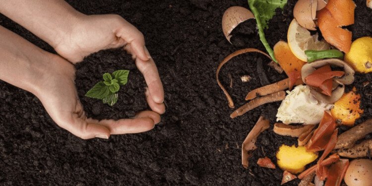 Educación ambiental para las infancias: Aprendamos sobre la composta