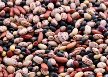 ¿Sabías que las legumbres tienen su propio día mundial?