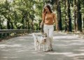 Caminar 30 minutos al día beneficia a tu perro, pero es vital acompañarlo con vacunación y prevención contra parásitos