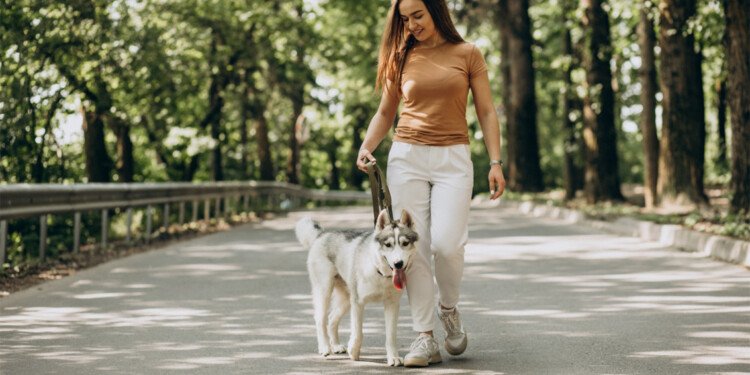 Caminar 30 minutos al día beneficia a tu perro, pero es vital acompañarlo con vacunación y prevención contra parásitos