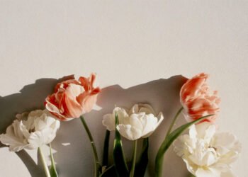 Self-care que florece contigo esta primavera