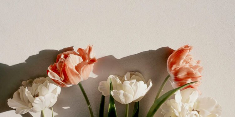 Self-care que florece contigo esta primavera