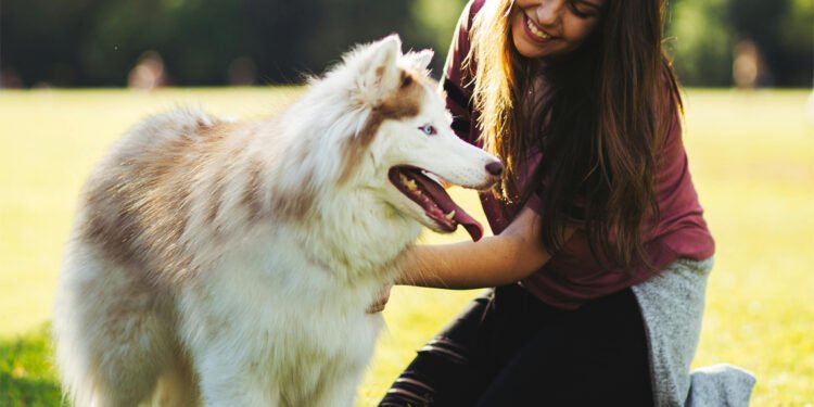 La alimentación de las mascotas evoluciona: Accesibilidad y practicidad marcan la tendencia en México