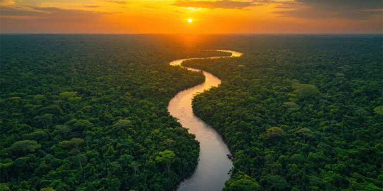 Bioactivos de la Amazonía: Los ingredientes que están redefiniendo la belleza consciente