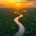 Bioactivos de la Amazonía: Los ingredientes que están redefiniendo la belleza consciente