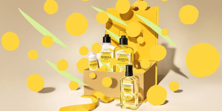 MIMOSA VERVEINE | El Sol de Invierno de la Provenza