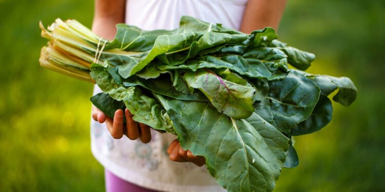 Día del Niño: Tres formas de enseñar a los pequeños a no desperdiciar alimentos en casa