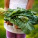 Día del Niño: Tres formas de enseñar a los pequeños a no desperdiciar alimentos en casa