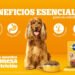 Un compromiso con la salud y el bienestar de las mascotas a través de «La Promesa de Nutrición de PEDIGREE®»