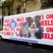 Hill’s lleva asesorías nutricionales gratuitas para mascotas a parques y espacios públicos de Guadalajara