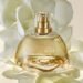 Aura Alba: El aroma se convierte en cuidado este Día de las Madres