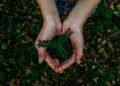 Día Mundial del Medio Ambiente: cuando la durabilidad vuelve a cobrar valor