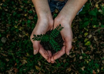 Día Mundial del Medio Ambiente: cuando la durabilidad vuelve a cobrar valor