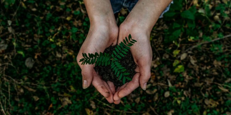 Día Mundial del Medio Ambiente: cuando la durabilidad vuelve a cobrar valor