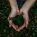 Día Mundial del Medio Ambiente: cuando la durabilidad vuelve a cobrar valor