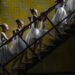 World Press Photo 2026 llega al Museo Franz Mayer con el patrocinio global de Fujifilm