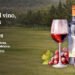 Vinomundo Fest debutará en noviembre con una apuesta por el enoturismo y la cultura del vino